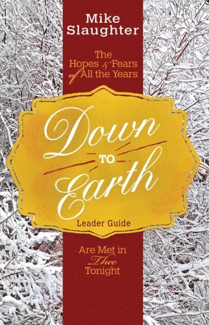 Rachel Billups, Mike Slaughter - Down to Earth Leader Guide, E-bok