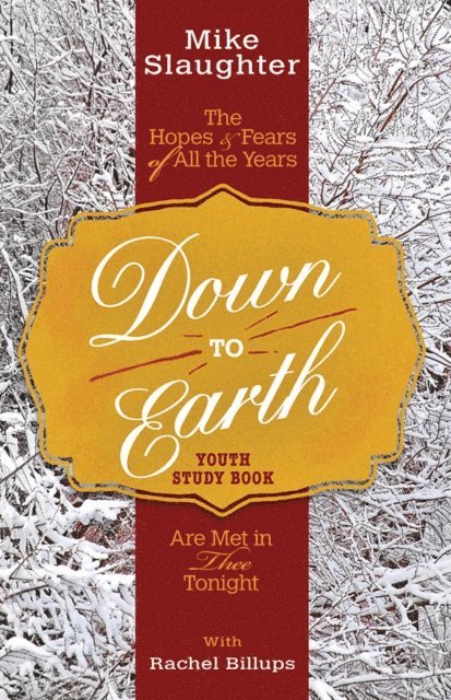 Kevin Alton, Mike Slaughter - Down to Earth Youth Study Book, E-bok