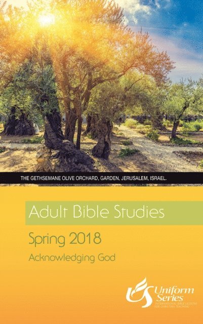 Michelle Morris - Adult Bible Studies Spring 2018 Student [Large Print], E-bok