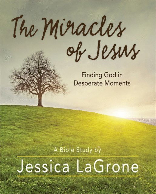 Jessica LaGrone - Miracles of Jesus - Women's Bible Study Participant Workbook, E-bok