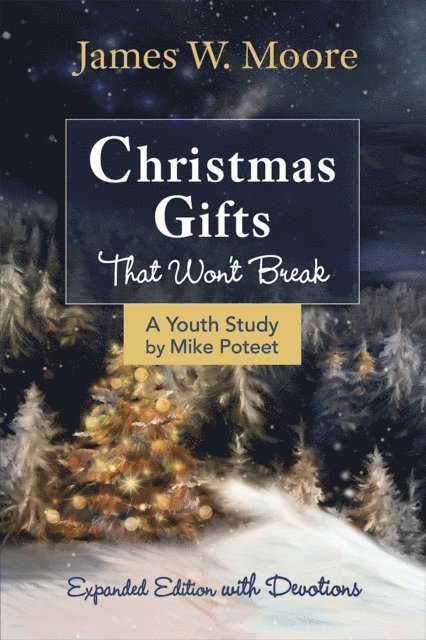Mike Poteet, Jacob Armstrong, Rev. James W. Moore - Christmas Gifts That Won't Break Youth Study, E-bok