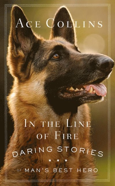 Ace Collins - In the Line of Fire, E-bok