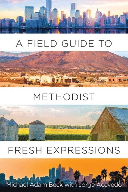 Michael Adam Beck - Field Guide to Methodist Fresh Expressions, E-bok