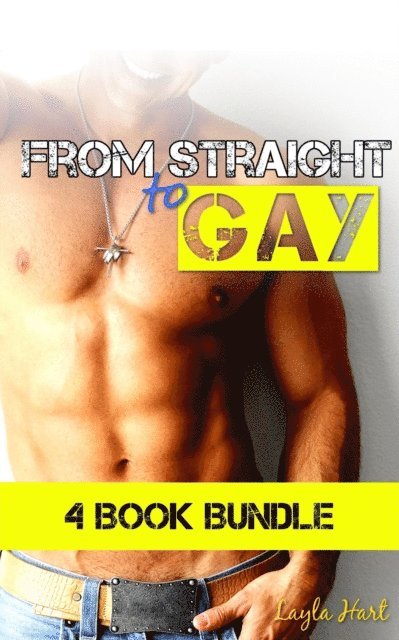 Layla Hart - From Straight to Gay: 4 Book Bundle, E-bok