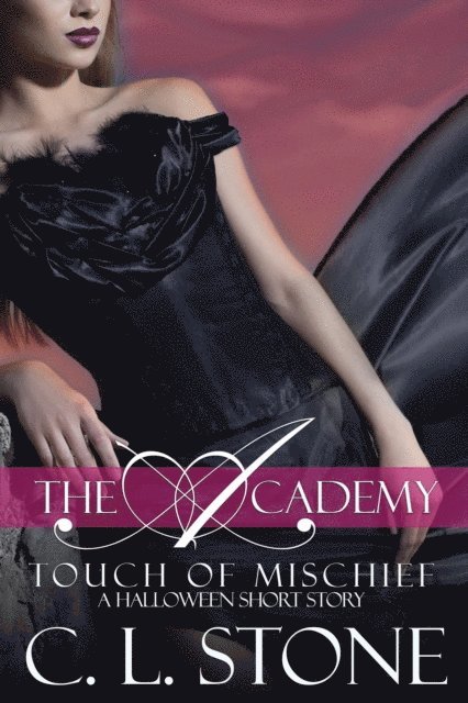 C. L. Stone - Academy - Touch of Mischief, E-bok