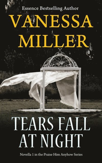 Vanessa Miller - Tears Fall at Night, E-bok