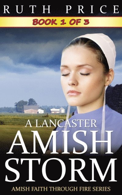 Ruth Price - Lancaster Amish Storm - Book 1, E-bok