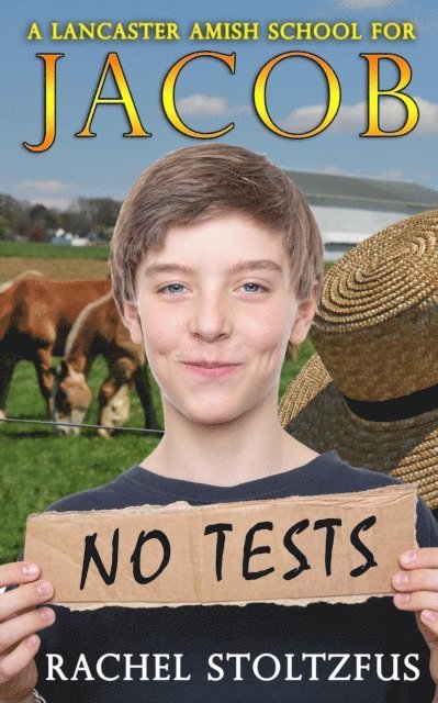 Rachel Stoltzfus - Lancaster Amish School for Jacob, E-bok