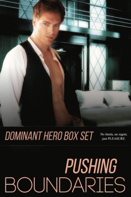 Giselle Renarde, Saffron Daughter, Savannah Reardon, Cameron Cross, Jade K. Scott, Terry Towers - Pushing Boundaries Dominant Hero Boxed Set, E-bok