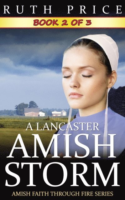 Ruth Price - Lancaster Amish Storm - Book 2, E-bok