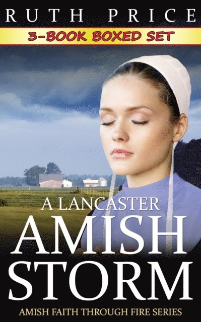 Ruth Price - Lancaster Amish Storm 3-Book Boxed Set, E-bok