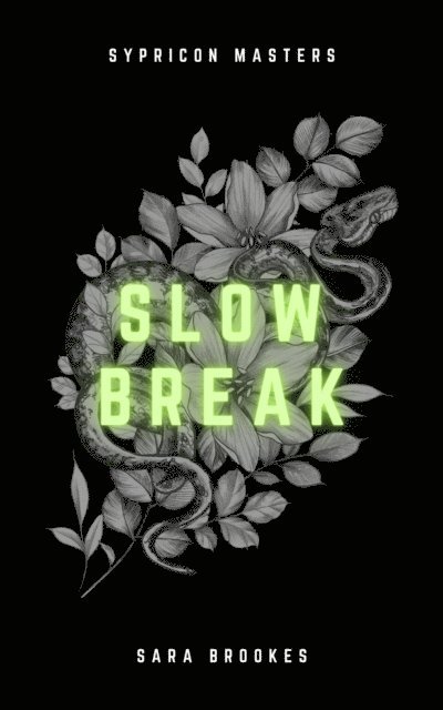 Sara Brookes - Slow Break, E-bok