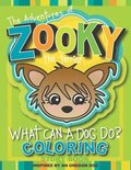 The Adventures of Zooky the Terrier