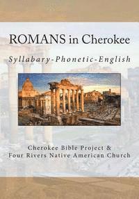 Brian Wilkes, Johannah Meeks Ries - Romans in Cherokee, Häftad