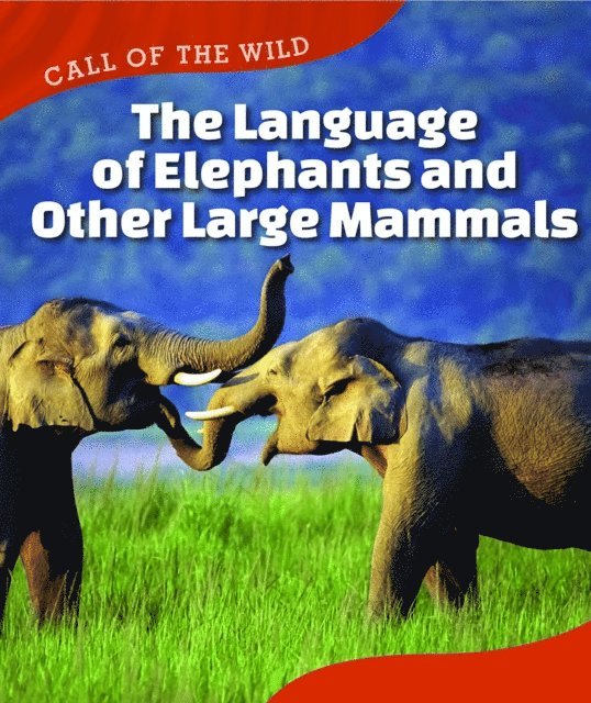 Megan Kopp - Language of Elephants and Other Large Mammals, E-bok