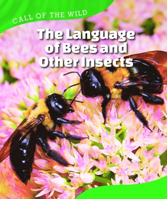 Megan Kopp - Language of Bees and Other Insects, E-bok