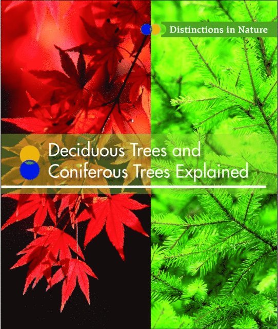 Alicia Z. Klepeis - Deciduous Trees and Coniferous Trees Explained, E-bok