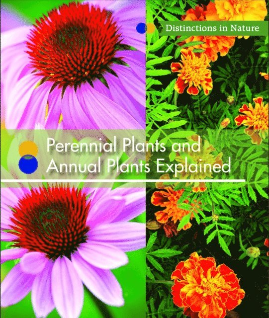 Shirley Duke - Perennial Plants and Annual Plants Explained, E-bok. Tillgänglighet: Lägg i varukorg