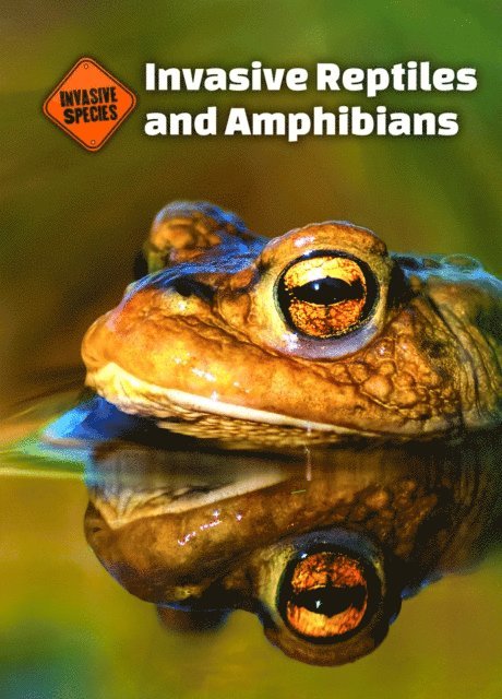 Susan Schafer - Invasive Reptiles and Amphibians, E-bok