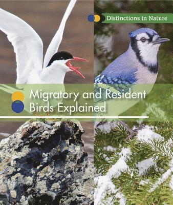 Ruth Bjorklund - Migratory and Resident Birds Explained, Häftad