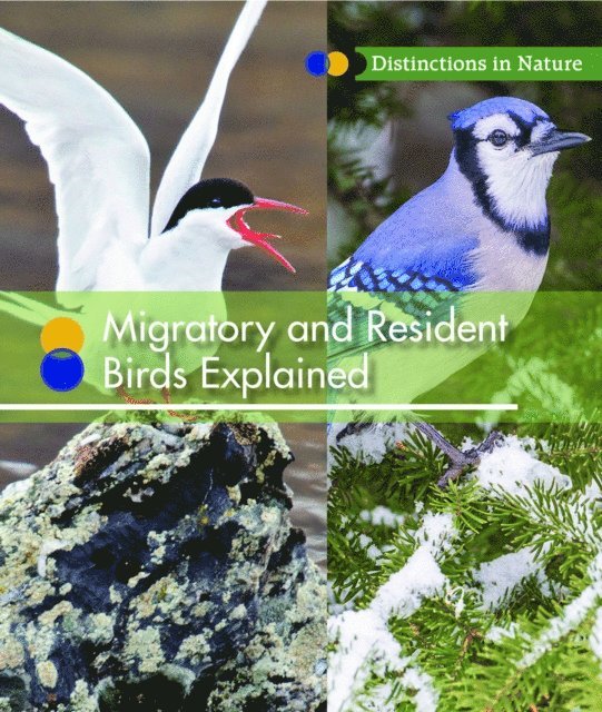 Ruth Bjorklund - Migratory and Resident Birds Explained, E-bok