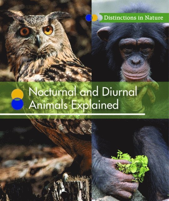Alicia Z. Klepeis - Nocturnal and Diurnal Animals Explained, E-bok