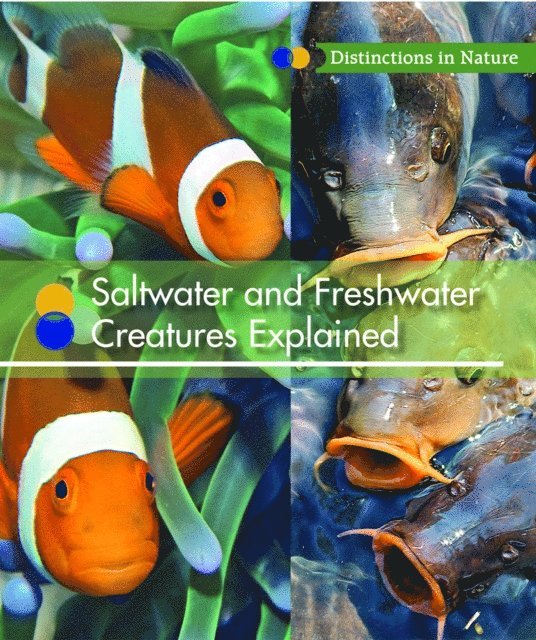Laura Sullivan - Saltwater and Freshwater Creatures Explained, E-bok