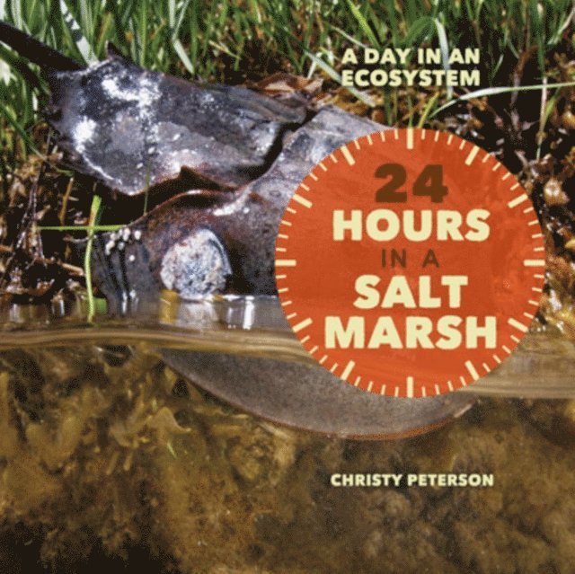 Christy Peterson - 24 Hours in a Salt Marsh, E-bok