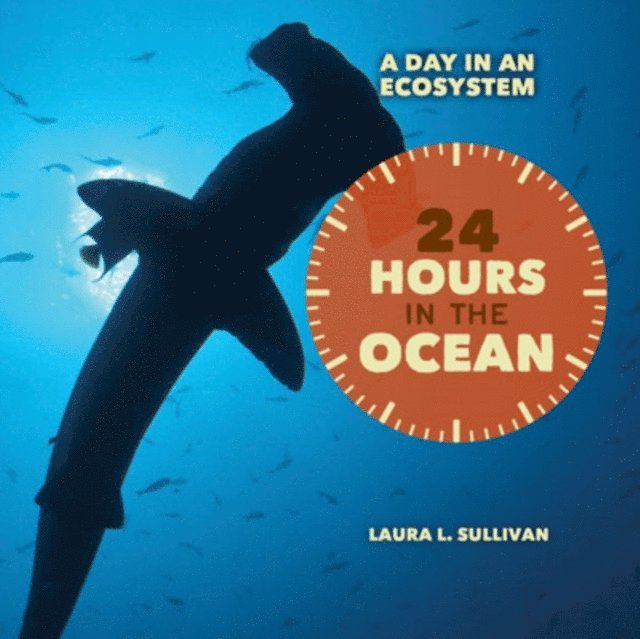 Laura Sullivan - 24 Hours in the Ocean, E-bok
