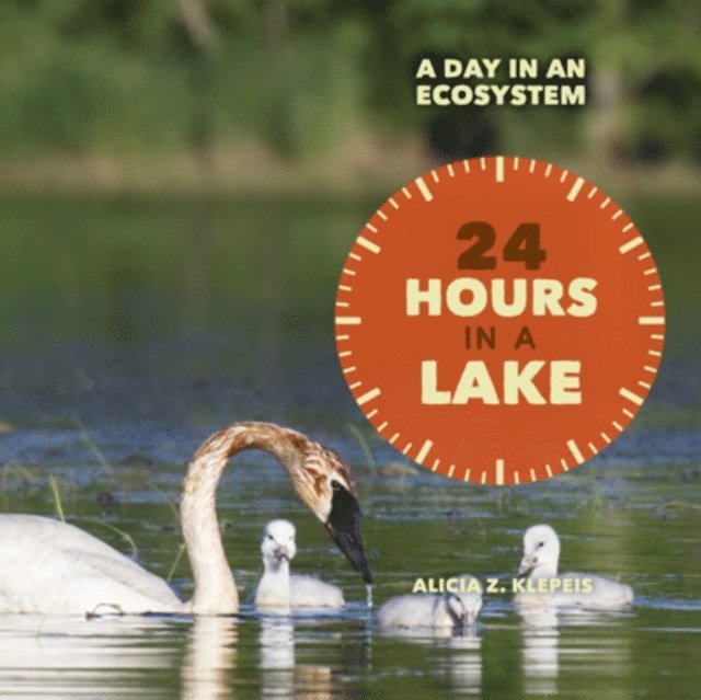 Alicia Z. Klepeis - 24 Hours in a Lake, E-bok
