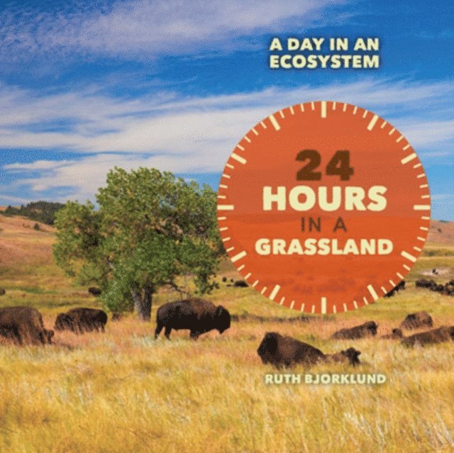 Ruth Bjorklund - 24 Hours in a Grassland, E-bok