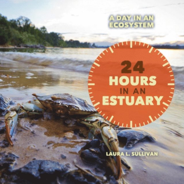 Laura Sullivan - 24 Hours in an Estuary, E-bok. Tillgänglighet: Lägg i varukorg