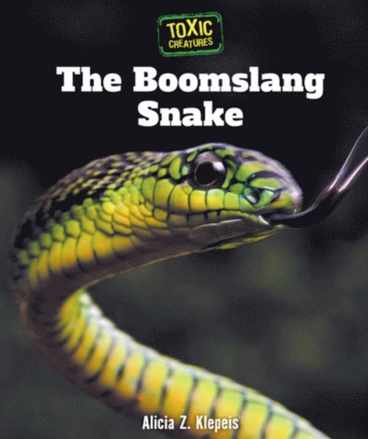 Alicia Z. Klepeis - Boomslang Snake, E-bok