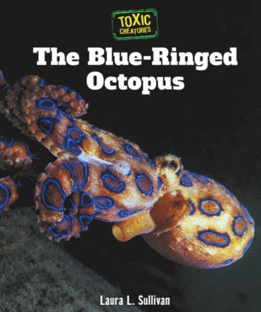 Blue-Ringed Octopus