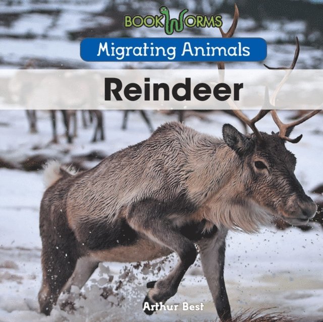 Arthur Best - Reindeer, E-bok