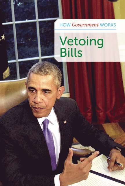 Derek Miller - Vetoing Bills, E-bok