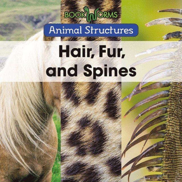 Hair, Fur, and Spines