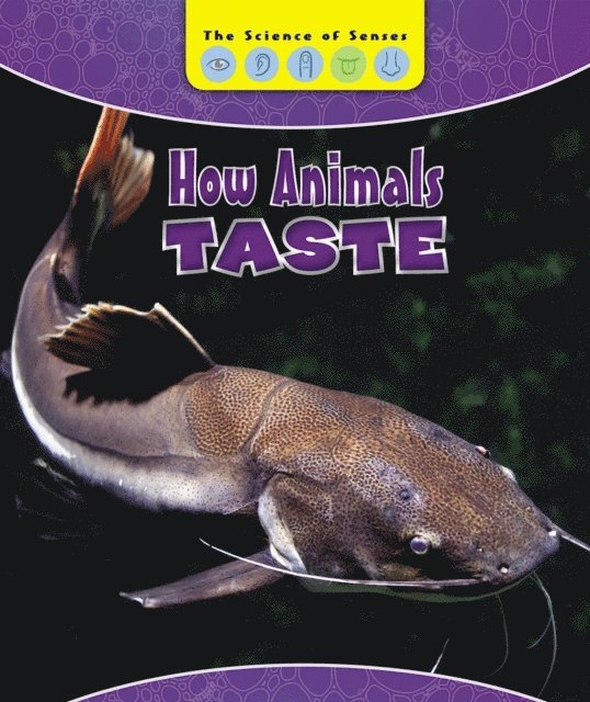 Laura L. Sullivan - How Animals Taste, E-bok