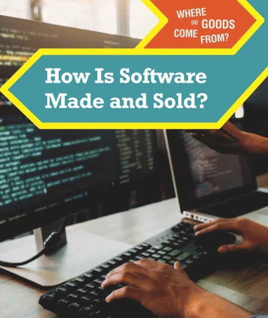 Bridey Heing - How Is Software Made and Sold?, E-bok