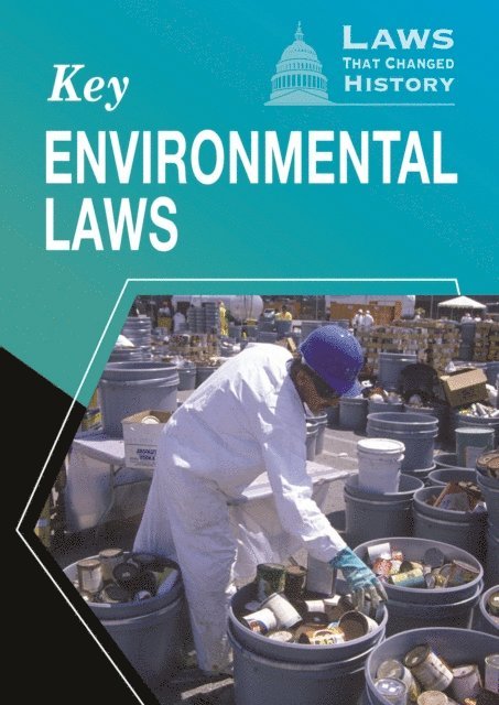 Avery Elizabeth Hurt - Key Environmental Laws, E-bok