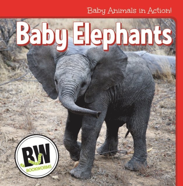Nicole Horning - Baby Elephants, E-bok