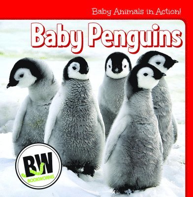 Nicole Horning - Baby Penguins, Häftad