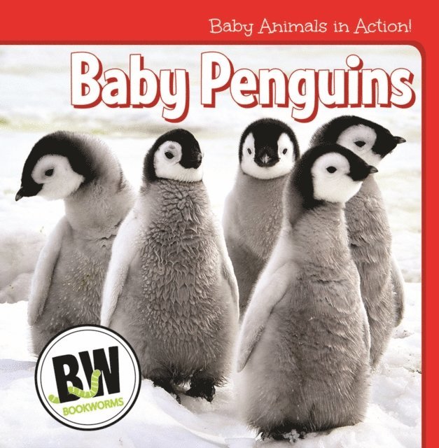 Nicole Horning - Baby Penguins, E-bok