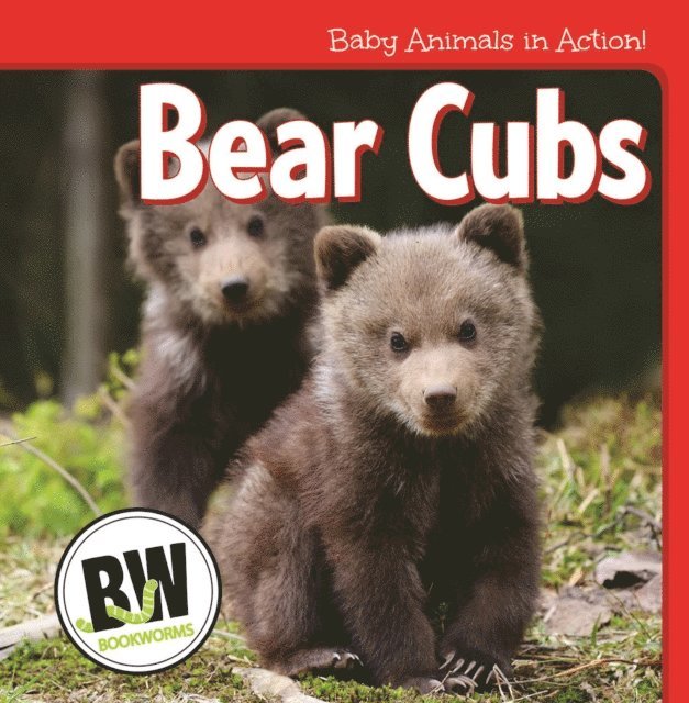 Nicole Horning - Bear Cubs, E-bok