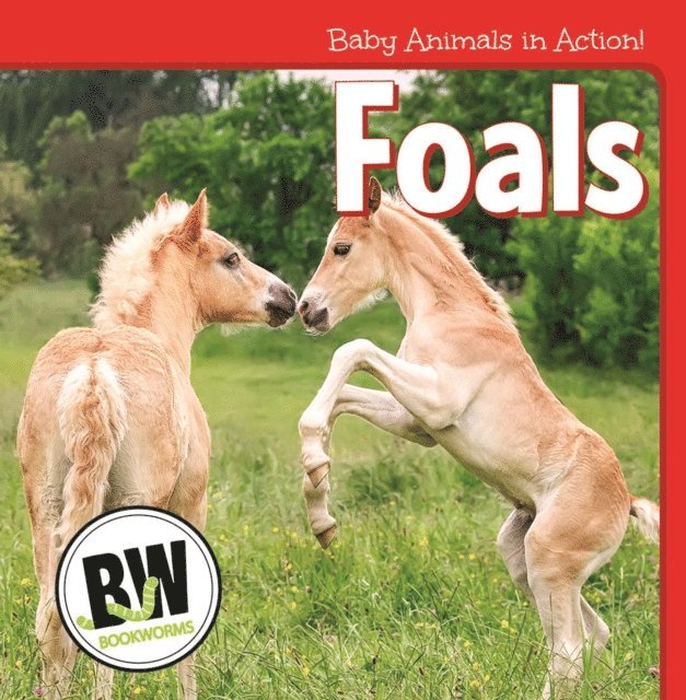 Nicole Horning - Foals, E-bok