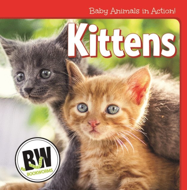 Nicole Horning - Kittens, E-bok