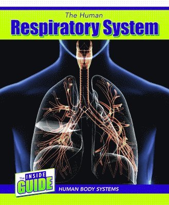 Cassie M. Lawton - The Human Respiratory System, Häftad. Tillgänglighet: Tillfälligt slut