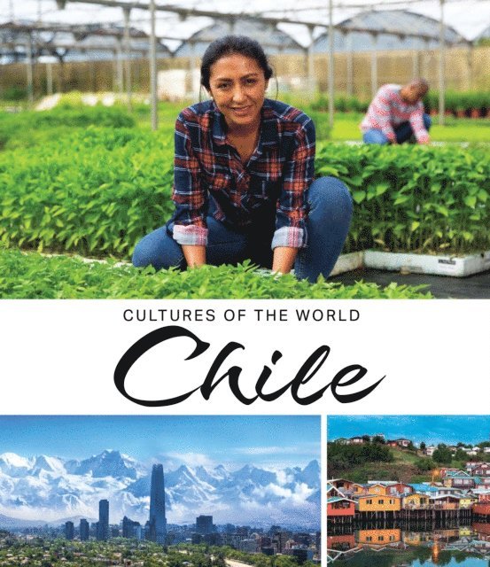 Rachael Morlock - Chile, E-bok
