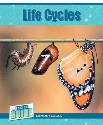 Leigh McClure - Life Cycles, Häftad