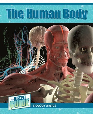 Leigh McClure - The Human Body, Häftad
